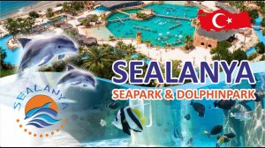 Обзор SEALANYA SeaPark Dolphinpark!  Экскурсия в Турции! Плавание со скатами и акулами #Sealanya