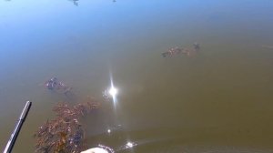 ЛОВЛЯ КАРПА И КАРАСЯ НА КРУЖКИ!!! ТРОФЕЙНЫЙ МОНСТР СЛОМАЛ ПОДСАК!!! РЫБАЛКА НА КАРПА И КАРАСЯ!!!