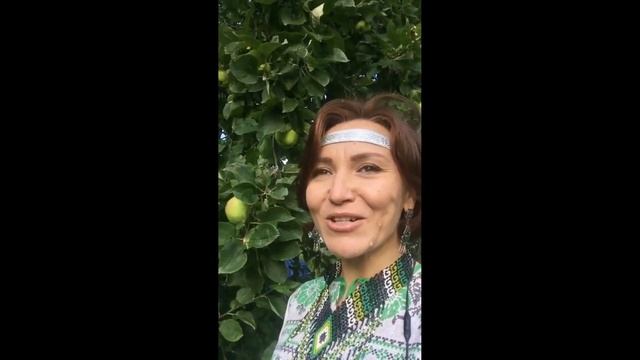 яблочный смотреть онлайн