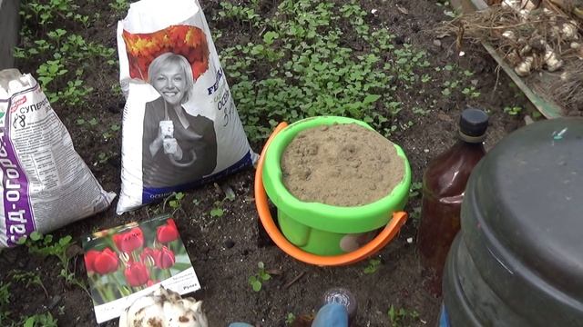 Посадка тюльпанов и лилий осенью смотреть онлайн