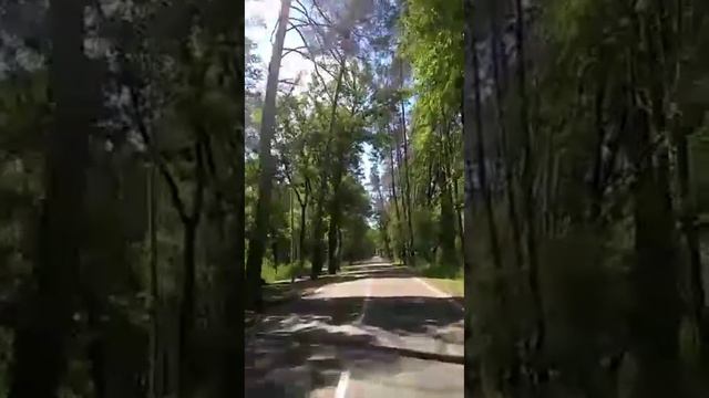 Video.Guru_20230531_144352165.mp4 смотреть онлайн