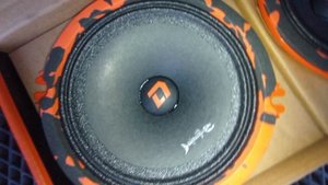 Акустика DL Audio Barracuda 130