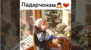 Шеър дар васфи падар