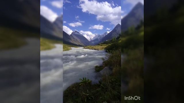 чай Сила Отца