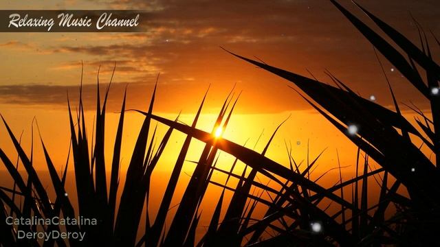 Успокаивающая Музыка для Массажа и Отдыха: Хорошая Музыка для Занятий Йогой, Медитации и Сна смотреть онлайн