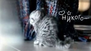 тут тоже пусто (нет)