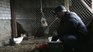 Погода  испортилась  ....  Сижу дома ...