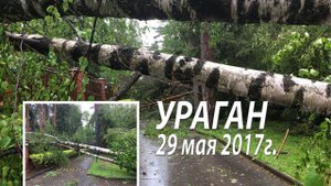 Ураган в Подмосковье 29 мая 2017 года.