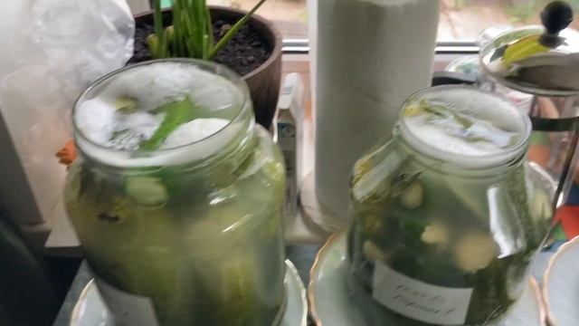 Засолка огурцов: этап 4 - томление в банках, день 2 смотреть онлайн