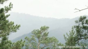 Алтайский язык. Урок № 2. Приветствие.