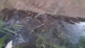 Ловля щуки осенью. Маныч 2020