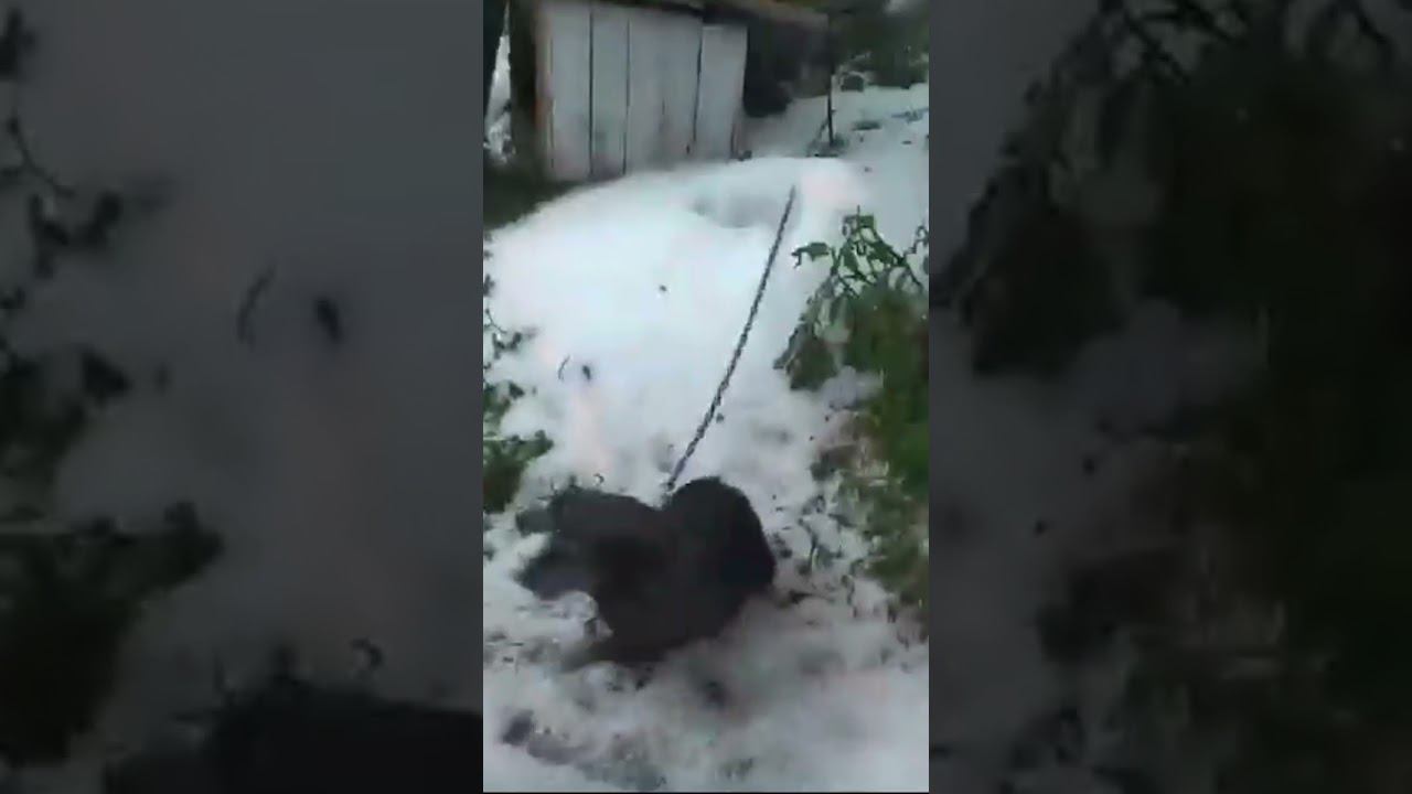 страшный град в бутерлиновке. все перемешало в кашу пожар смотреть онлайн