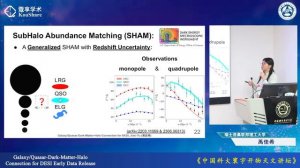 Stochastic fields in our Universe and the Bingo Telescope & DESI One-Percent Survey Galaxy-Dark...