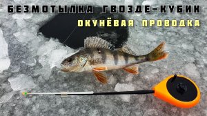 БЕЗМОТЫЛКА ГВОЗДЕКУБИК и ОКУНЁВАЯ ПРОВОДКА МОРМЫШКИ + БАЛАНСИРЫ зимняя рыбалка первый лёд Тольятти