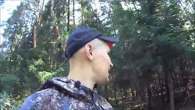 Решили прогуляться по лесу \ В поисках грибов смотреть онлайн