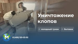 Уничтожение клопов холодным туманом - МосОблДез