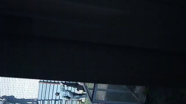 беспредел вет.лаборатории по ул. Некрасова в г.Тула смотреть онлайн