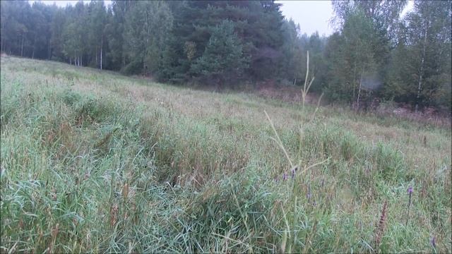 Охота на медведя 2017 смотреть онлайн