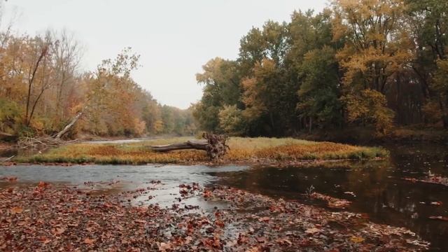 «Осень» | Михаил Лермонтов | стихи и поэзия |стихотворение про природу