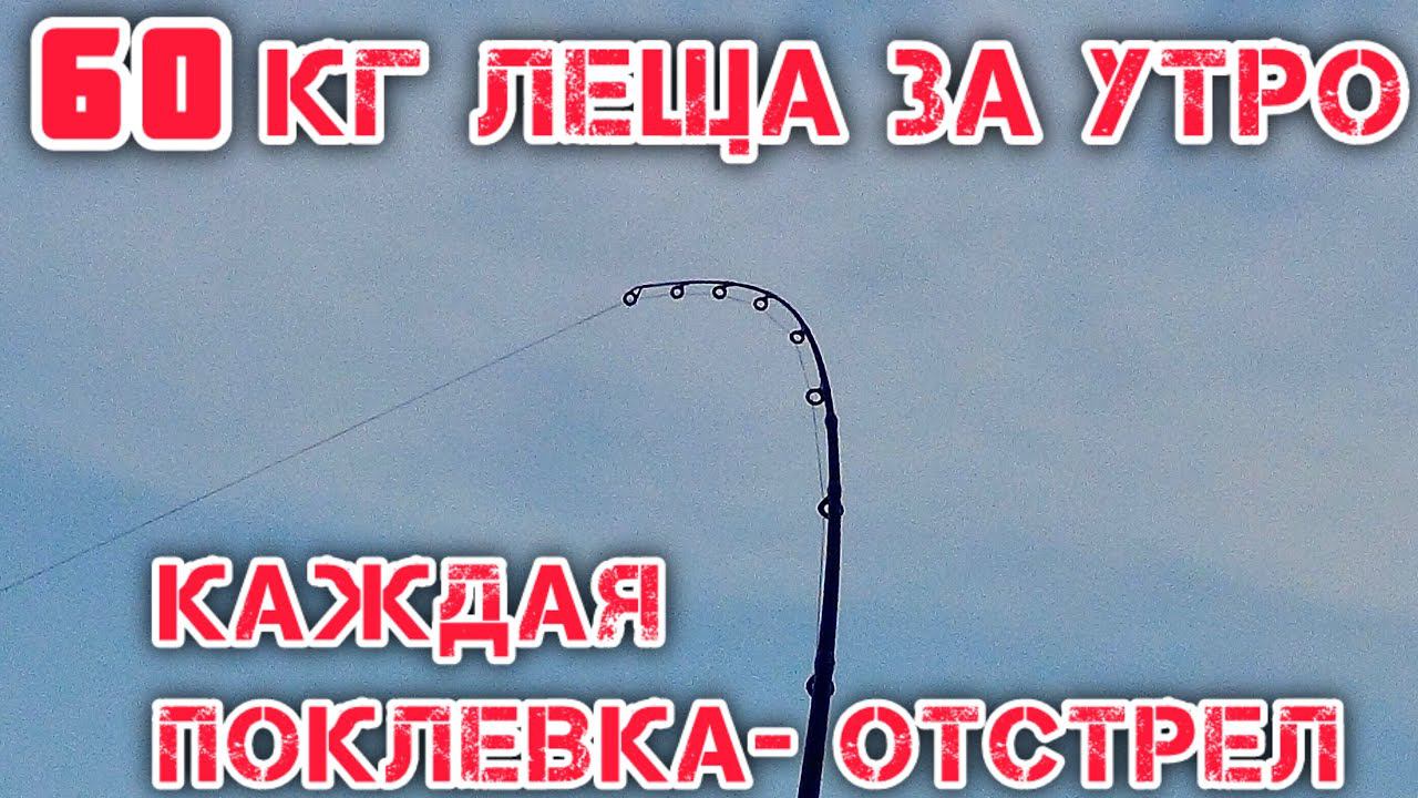 НАЛОВИЛ 60 КГ за УТРО на РЕКЕ КАЖДАЯ ПОКЛЁВКА - ОТСТРЕЛ КАК ЛОВИТЬ ЛЕЩА ВЕСНОЙ смотреть онлайн