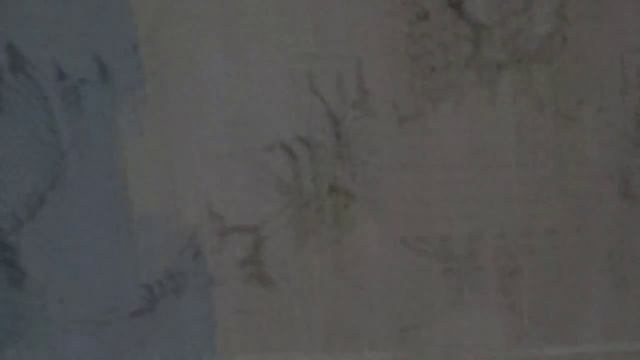 Фасад здания с применением несъемной опалубки из щепо-цементных плит. смотреть онлайн