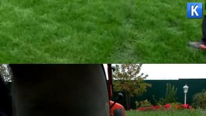 Как правильно ухаживать за газоном