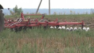 дискование почвы на зимовку, трактором МТЗ 3022 Беларус.