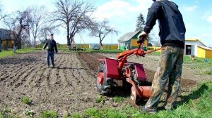 Вспашка огорода всвал весной , под посадку картошки мотоблок мтз