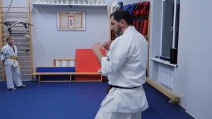 Особенности стойки камаэ, работа рук в кумитэ.