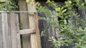 Нашли сломанную машину!