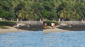 Pairing The 2x Teleconverter with the Sony 200-600mm G Lens | User Experience Review