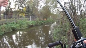 Ловля щуки осенью на микроречке | Попал на выход щуки | Кастинговая снасть