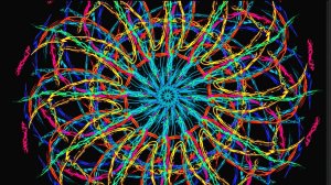 Залипательное и расслабляющие видео!