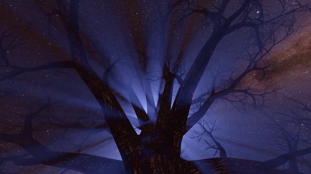 МЕЛОДИЯ ОСЕННЕЙ ТИШИНЫ. Блюз. смотреть онлайн