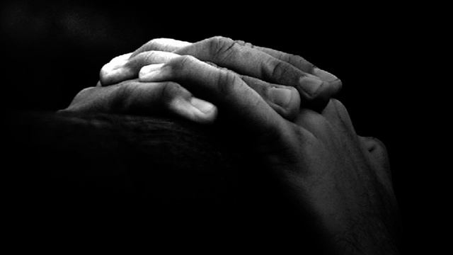 Palms language смотреть онлайн