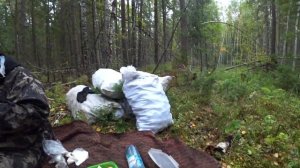 Как и на чем заработать деньги в деревне сезонная работа