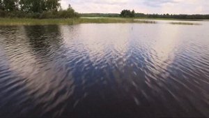 Эко-отель "Новый Ковчег", озеро Селигер, июль 2018