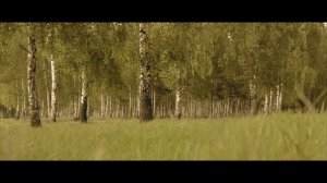 Виталий Агапов - Сонга калдым (Я опоздал)