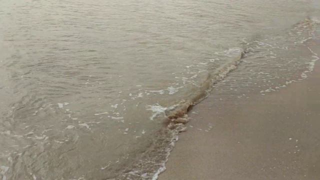 Камышеватская коса — Азовское море. Дикий пляж недалеко от Ейска.