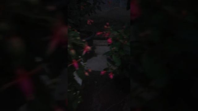 Белокрылкадан қалай құтыламыз😱 смотреть онлайн