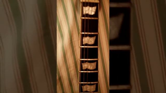 Harley Benton modified смотреть онлайн