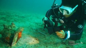 Underwater Photography Class