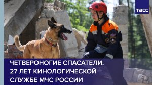 Четвероногие спасатели. 27 лет кинологической службе МЧС России
