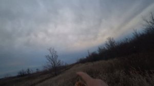 Охота на зайца с Русскими гончими 2023г №5