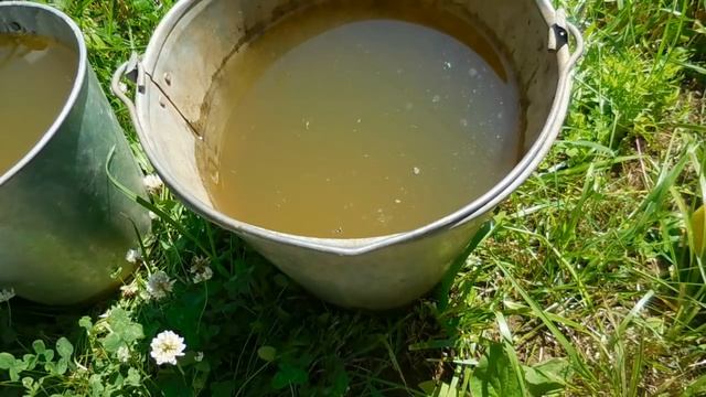 Супер способ увеличить урожай огурцов смотреть онлайн