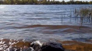 Озерки 3 озеро