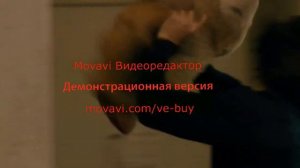 мишка!)