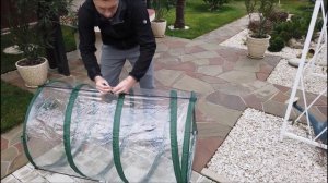 Мини парник для маленьких пальм!