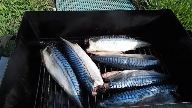 Хуторок - Наша дача - Сломали дом, копчу скумбрию смотреть онлайн