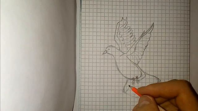 Рисунки карандашом ### 18 смотреть онлайн